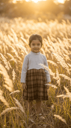 Brown Plaid Pleated Dress with Off-White Bodice