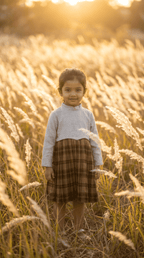 Brown Plaid Pleated Dress with Off-White Bodice